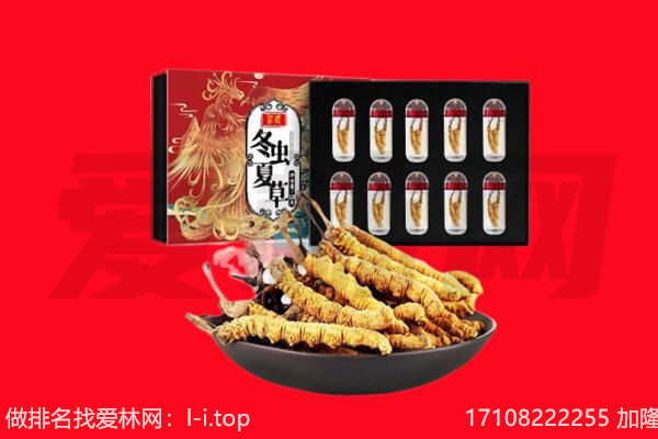 内江回收虫草.jpg
